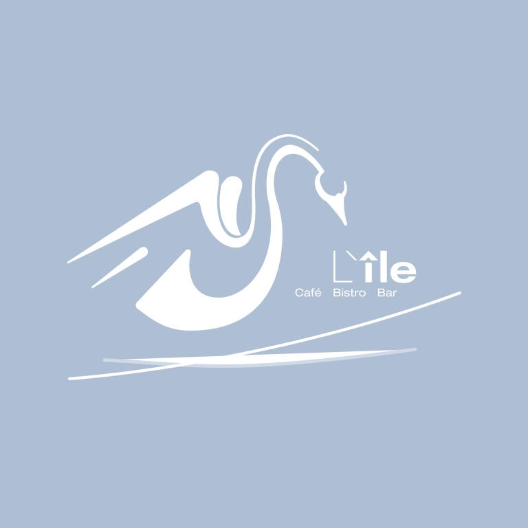 03 RZ3 WR Web Logo Lile grau 1